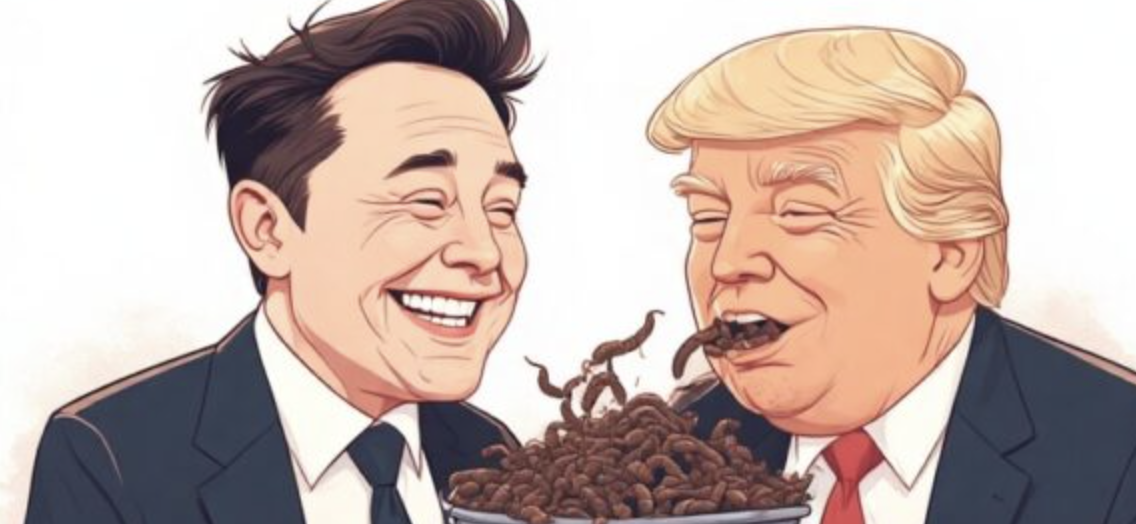 I’m on Team Trump and Team Elon